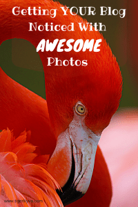 Getting YOUR Blog Noticed With AWESOME Photos