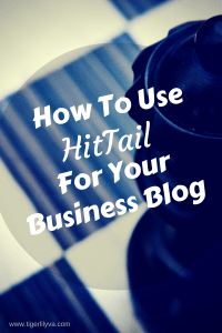 How To Use HitTail For Your Business