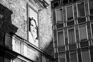 Amazing photos & premium membership for bulk downloads