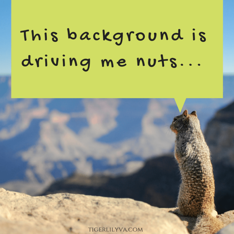 Squirrel Meme - removebackground